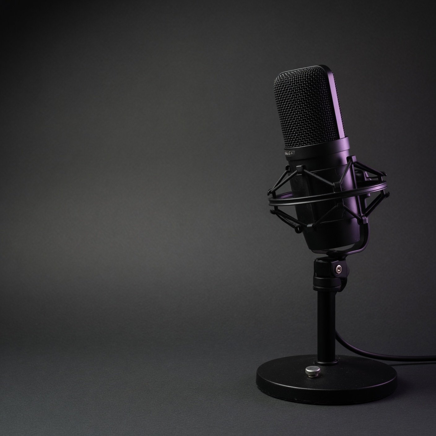 Studio microphone